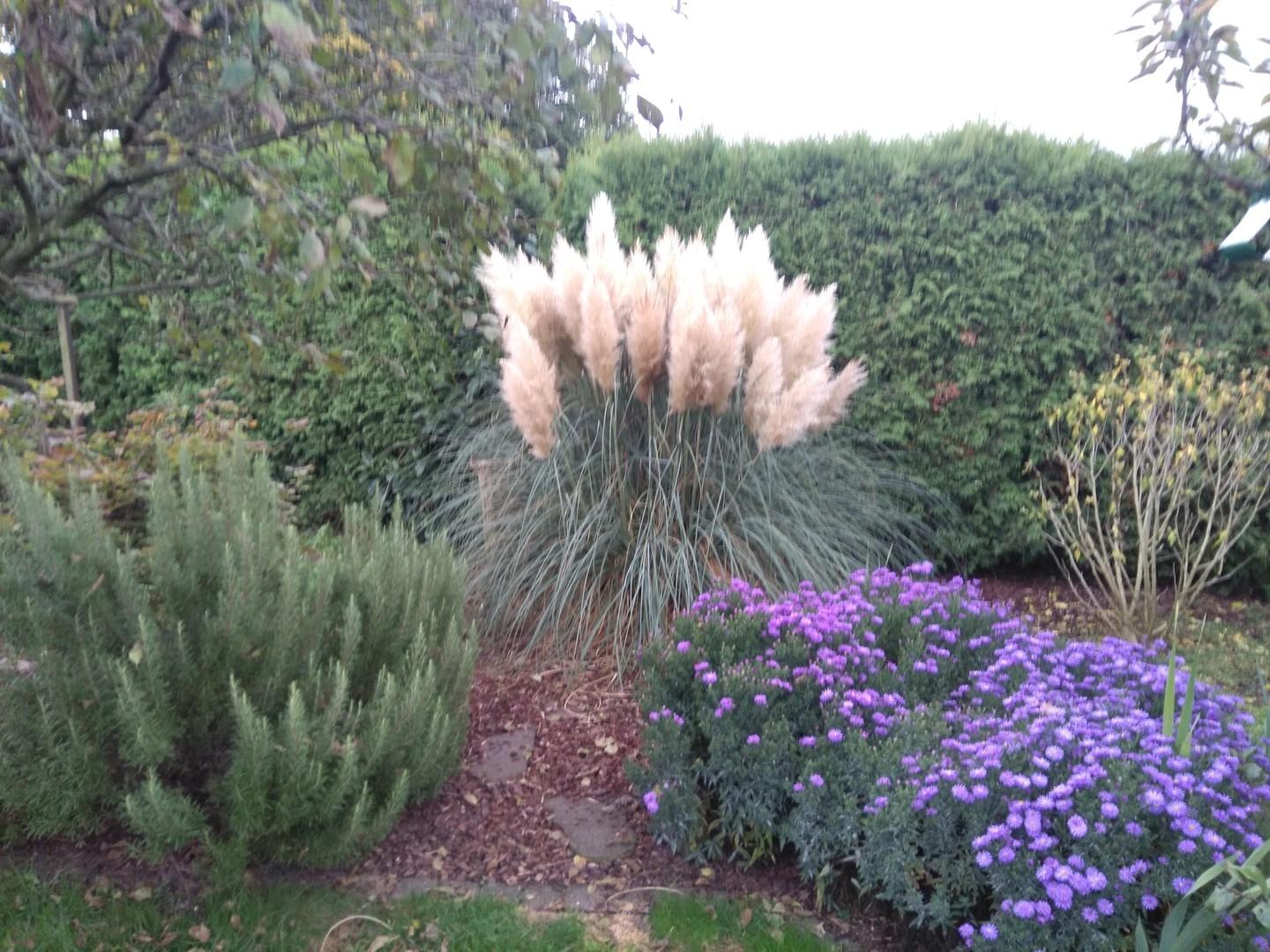 Garten im Herbst