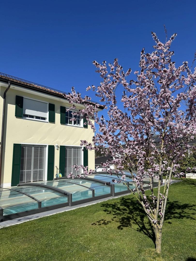 Blick auf das Haus und Pool