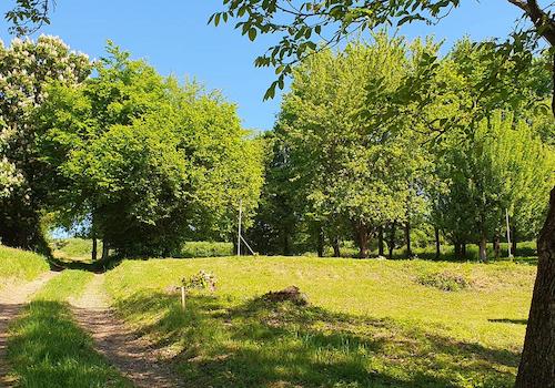 Grundstück sicht nach oben