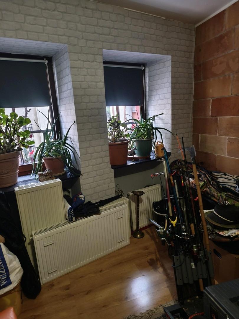 Zimmer EG.