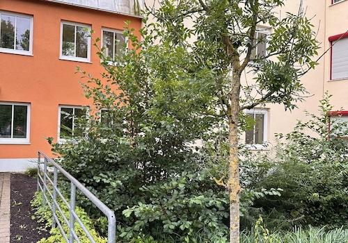 Hauseingang mit Bachlauf