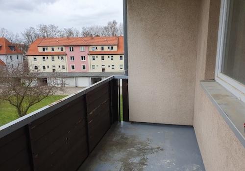 20260317_135630 (Klein).jpg