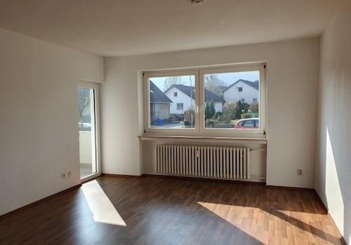 20260304_133526 (Klein).jpg