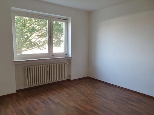 20260304_133449 (Klein).jpg