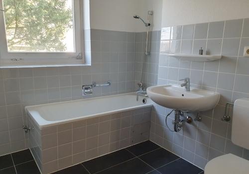 20260304_133421 (Klein).jpg