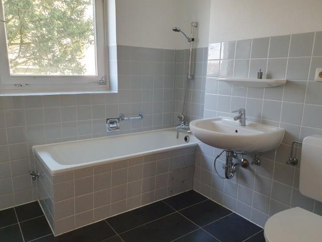 20260304_133421 (Klein).jpg