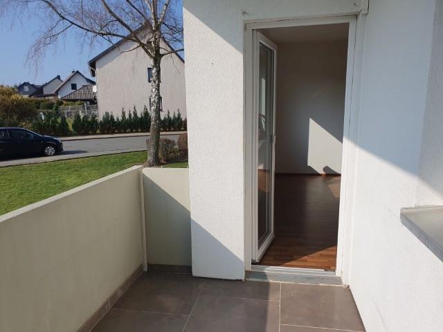 20260304_133608 (Klein).jpg