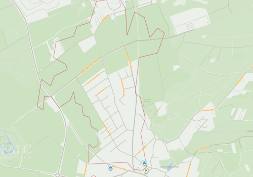 Site plan (micro)