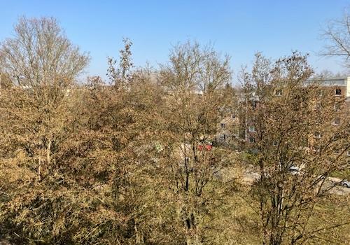 Ausblick Schlafzimmer