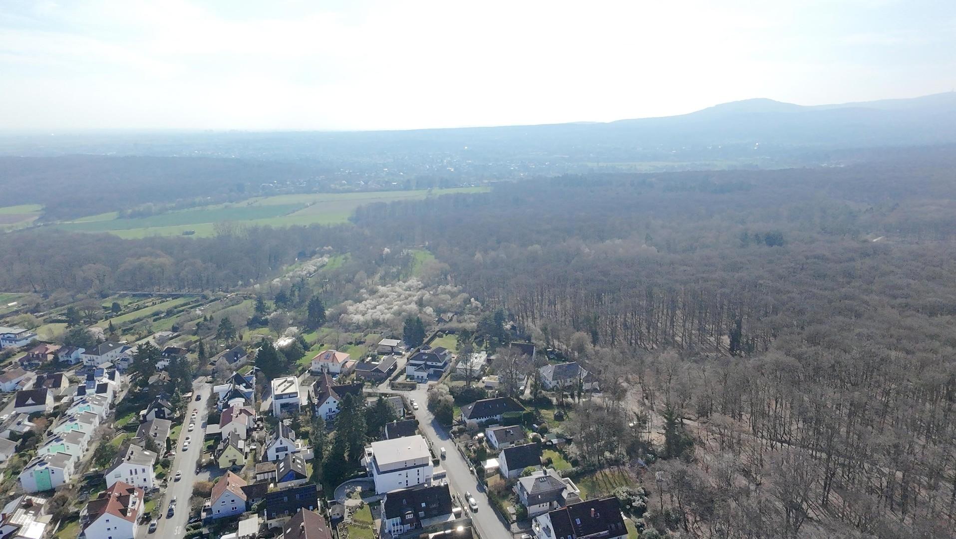 Rundumsicht 2