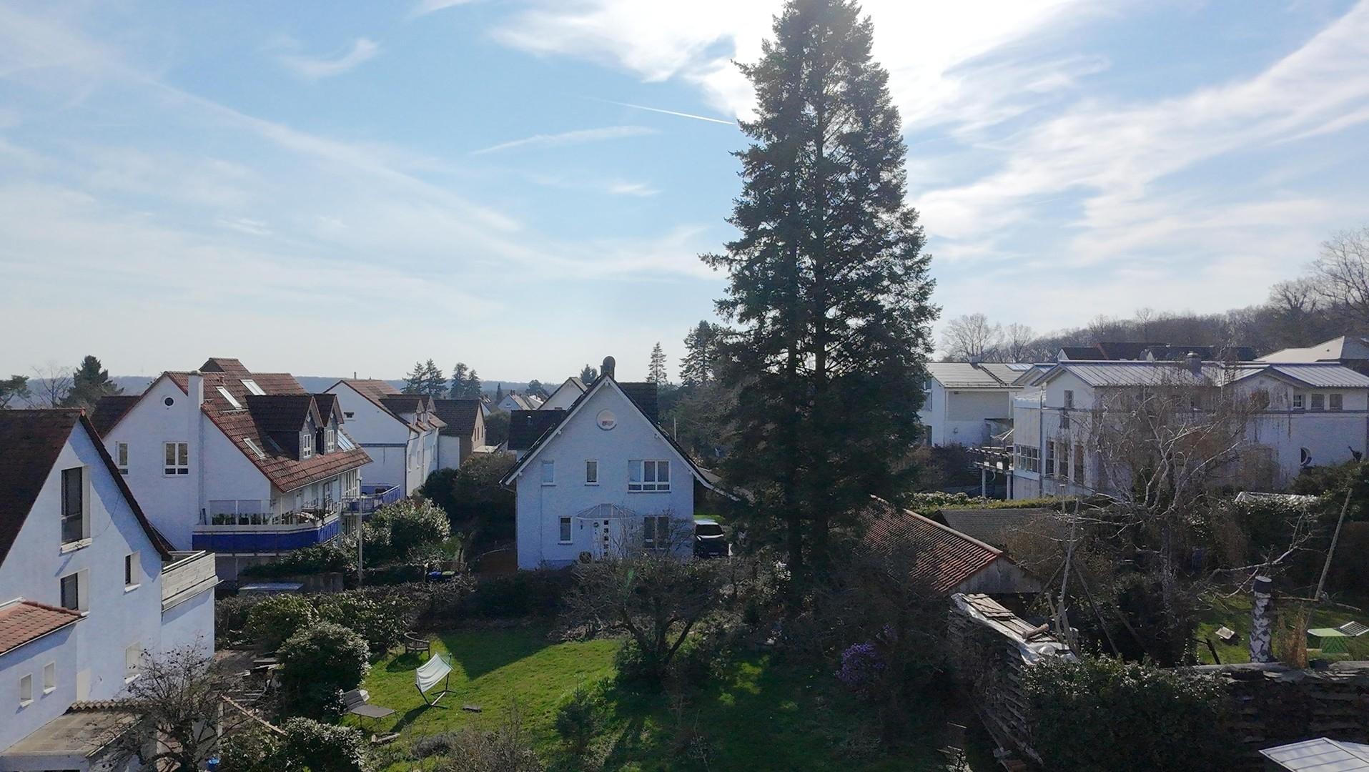 Süden