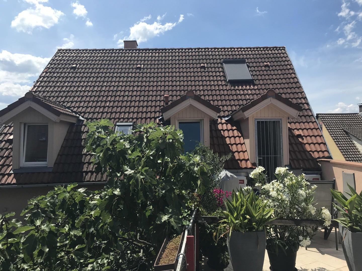 Rückansicht Terrasse