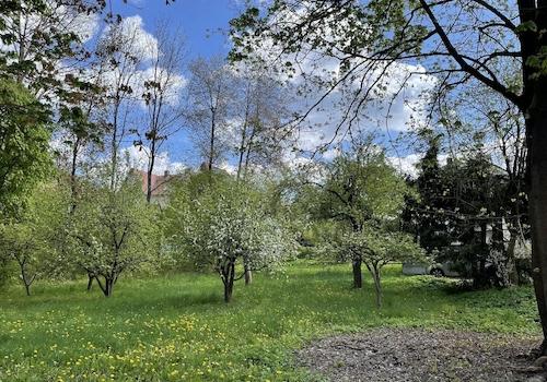 Obstgarten hinter Villa