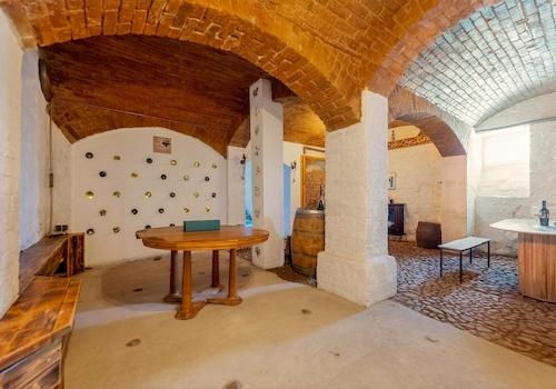 Weinkeller / Partyraum 