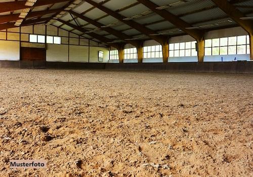 Keine Originalbilder