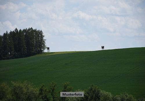 Keine Originalbilder