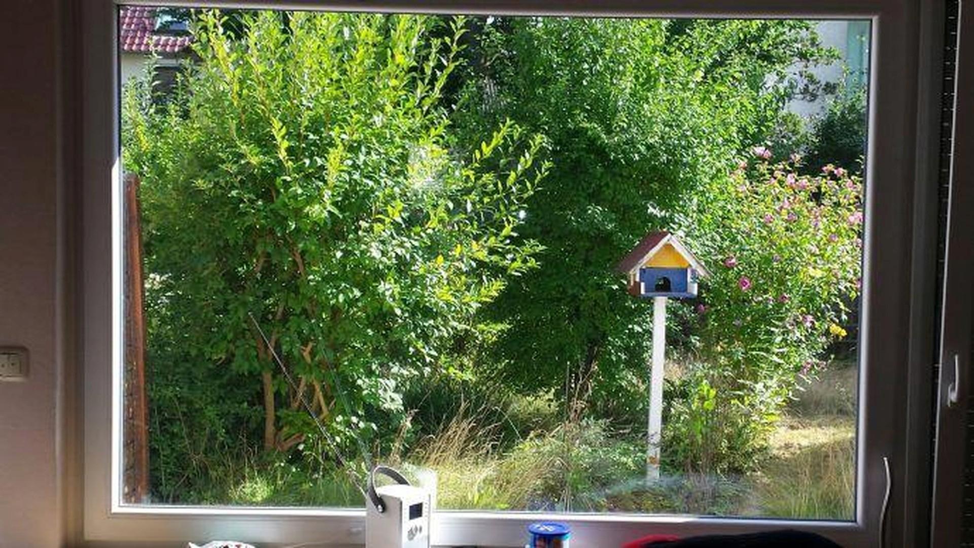 Blick in den Garten