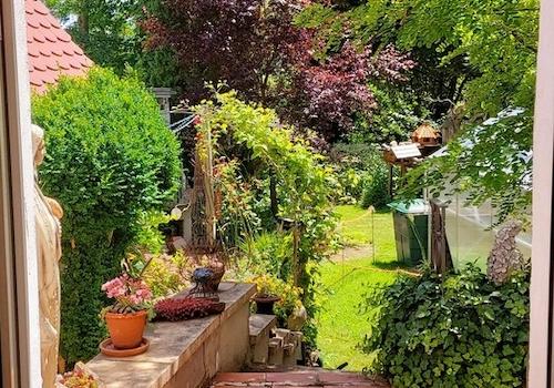 Blick in den hinteren Garten