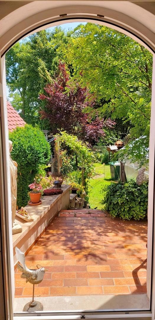 Blick in den hinteren Garten