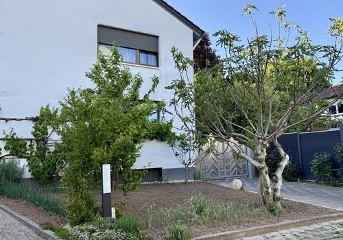 Außenansicht Vorgarten