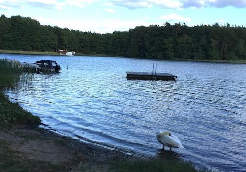 See in naher Umgebung