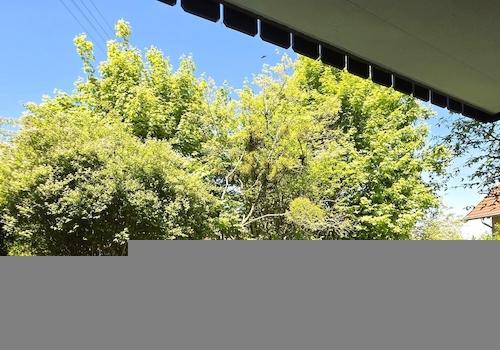 Blick in den eigenen Garten