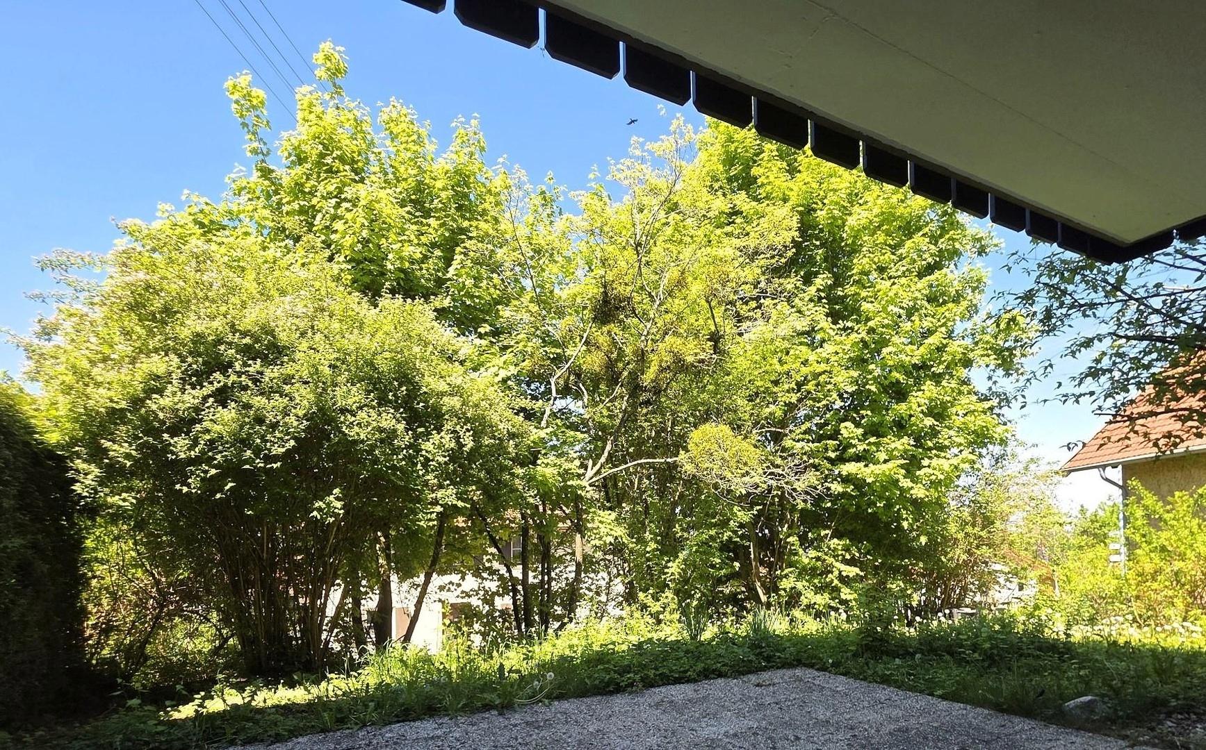 Blick in den eigenen Garten