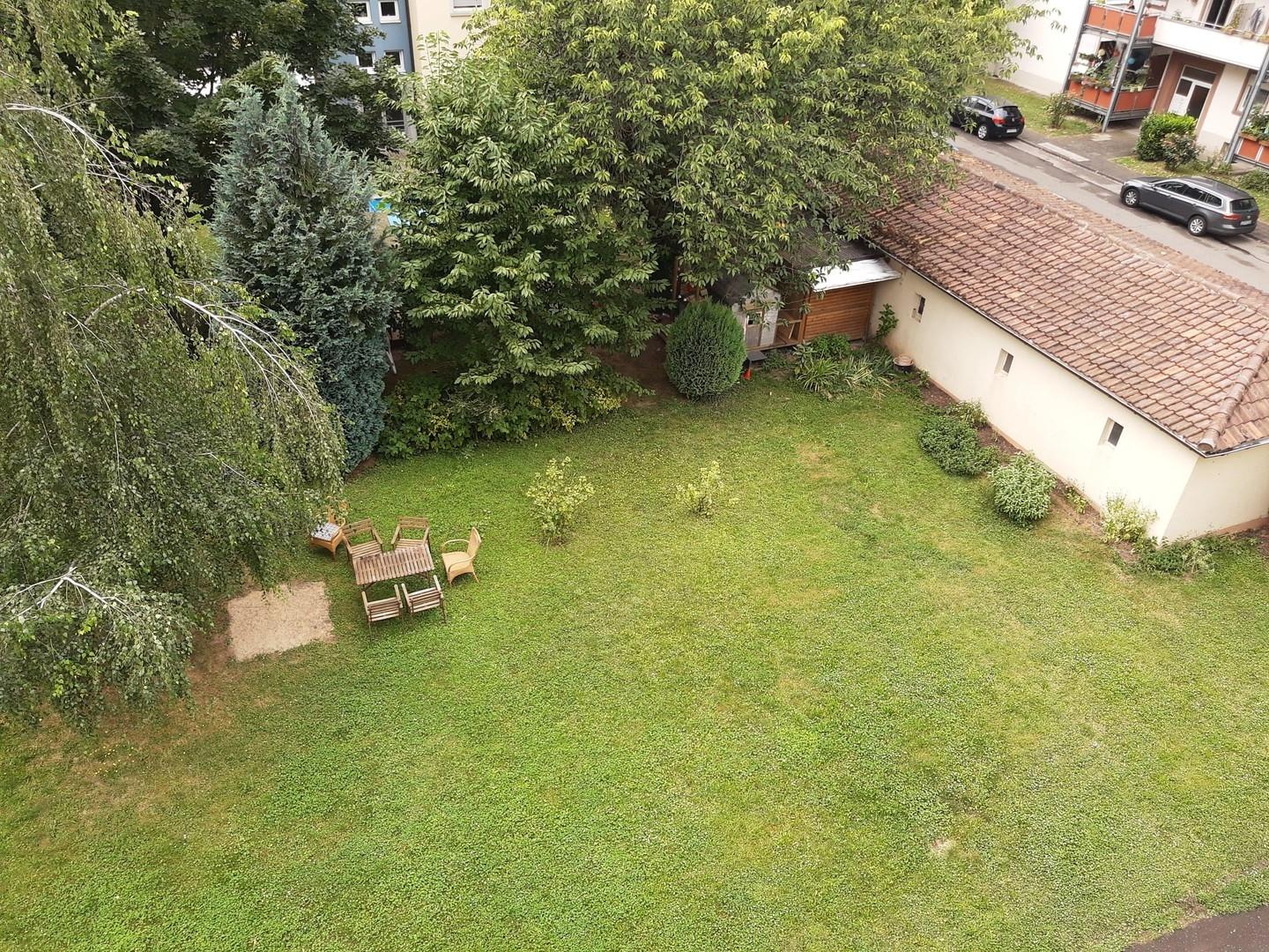 Allgemeine Gartenfläche