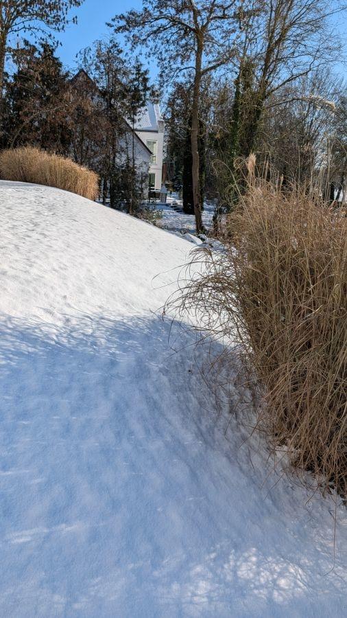 PXL_20260103_110145173