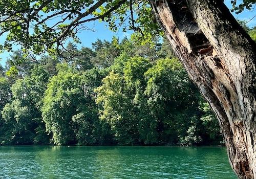 Feldberger Seenlandschaft