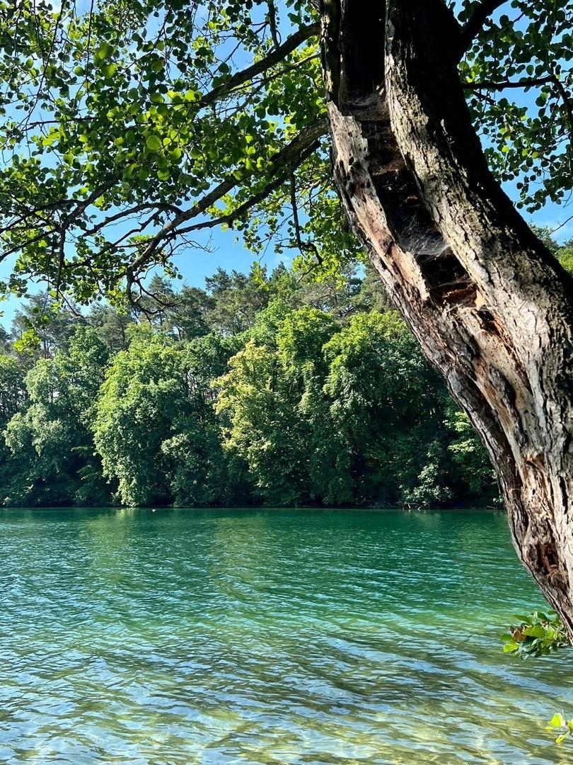 Feldberger Seenlandschaft