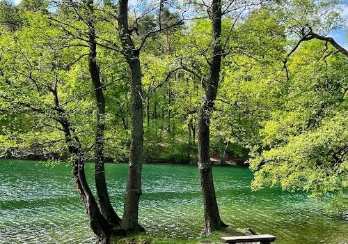 Feldberger Seenlandschaft