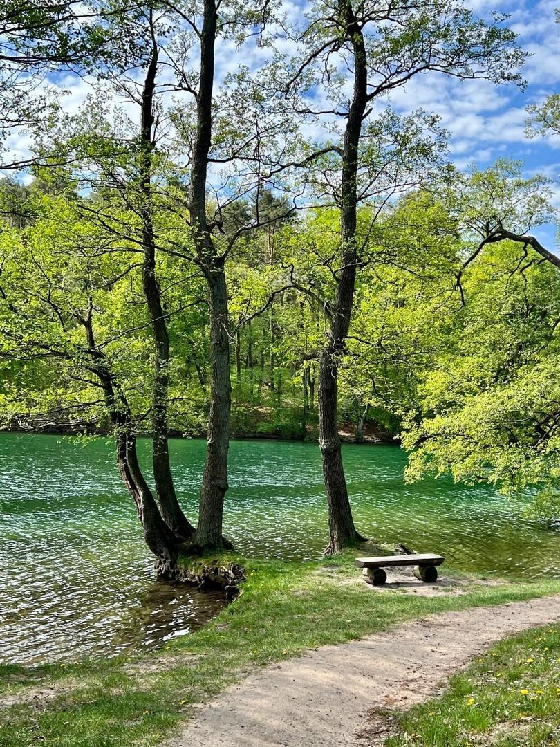 Feldberger Seenlandschaft