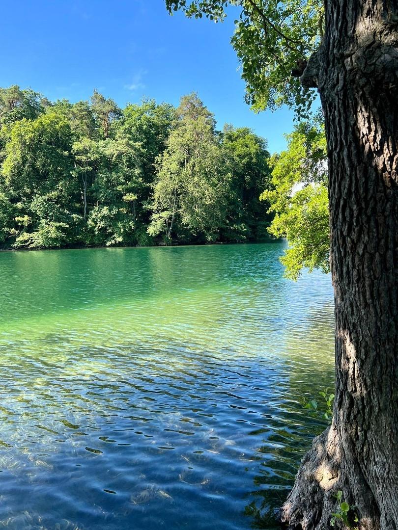 Feldberger Seenlandschaft