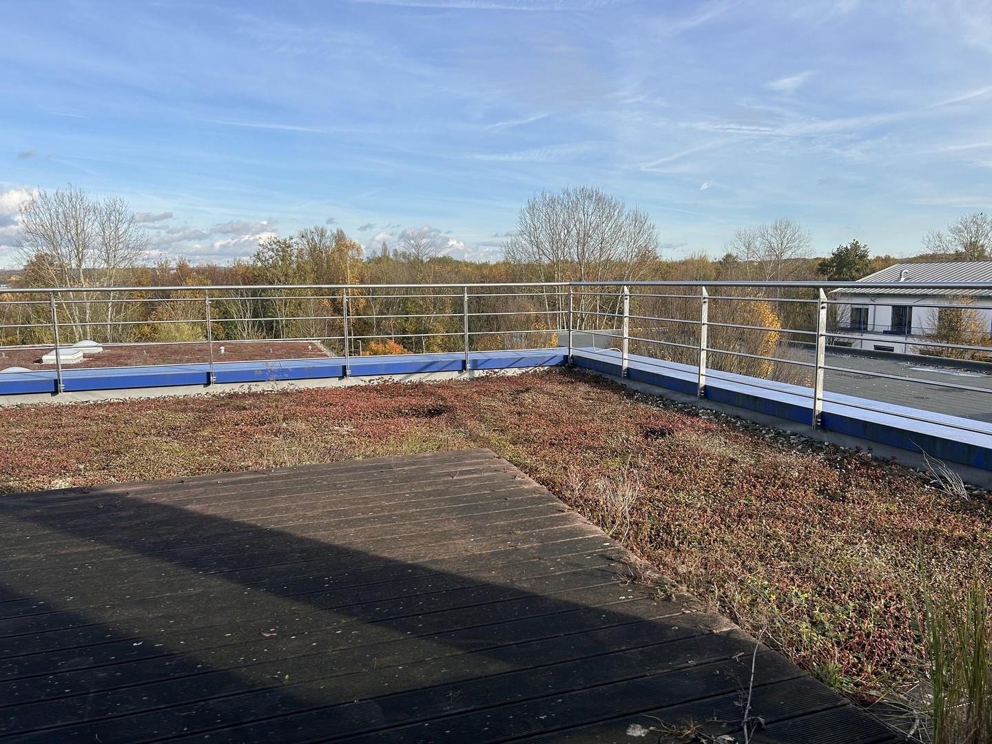 Dachterrasse 1
