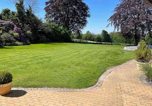 Garten mit Blick.jpg