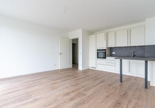 Wohnbereich mit Küche