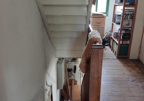 Treppenhaus im Altbau
