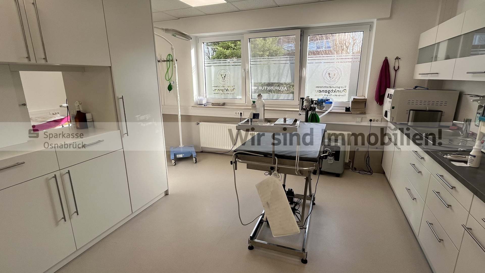 Behandlung Tierarztpraxis