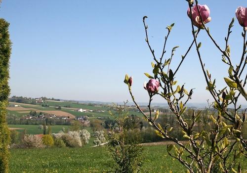Aussichtsreich: der Garten