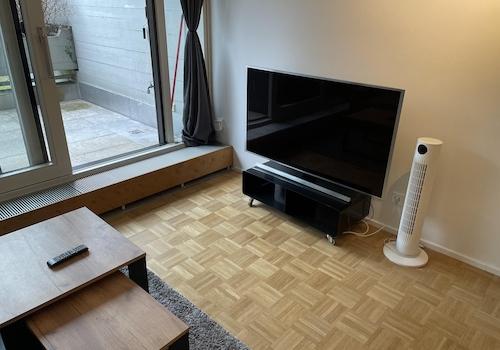 Wohnzimmer/Schlafzimmer