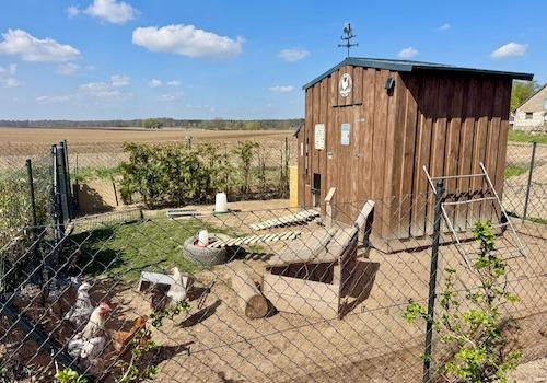 kleines Gehege mit Hühnerstall und jeden Tag ein frisches Ei