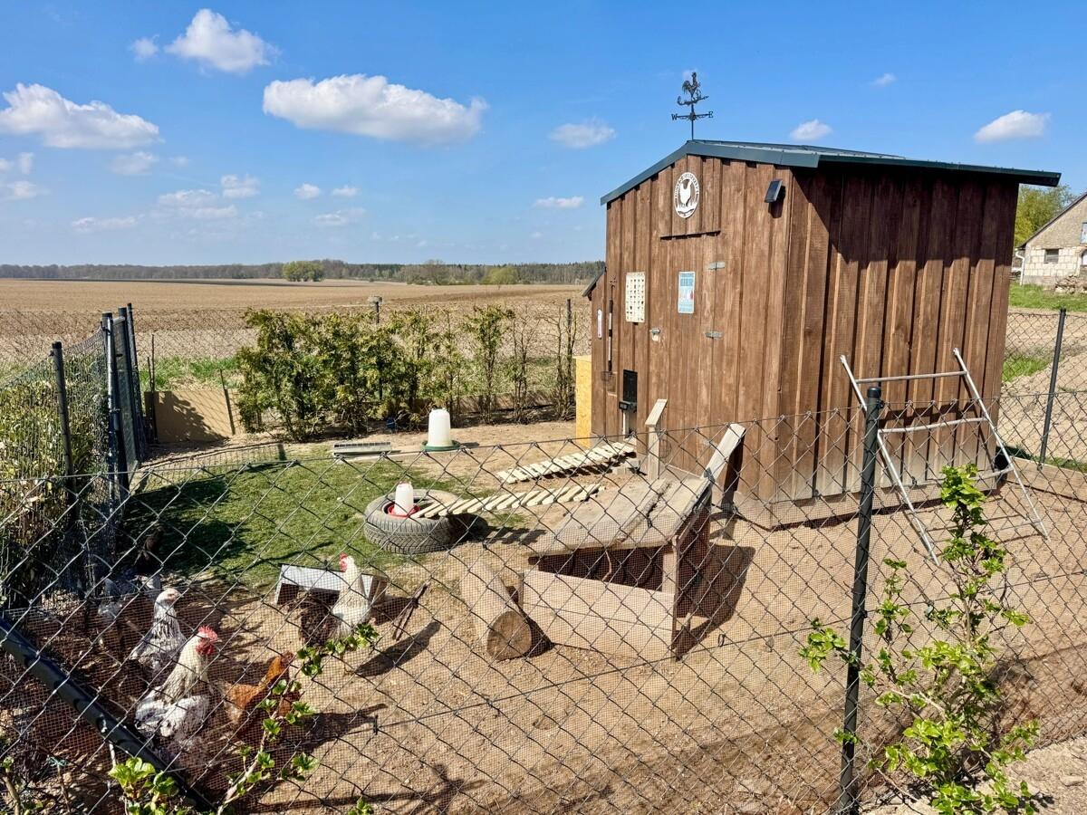 kleines Gehege mit Hühnerstall und jeden Tag ein frisches Ei