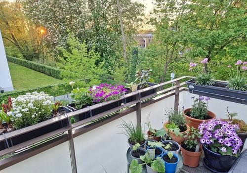 Loggia Blick ins Grüne