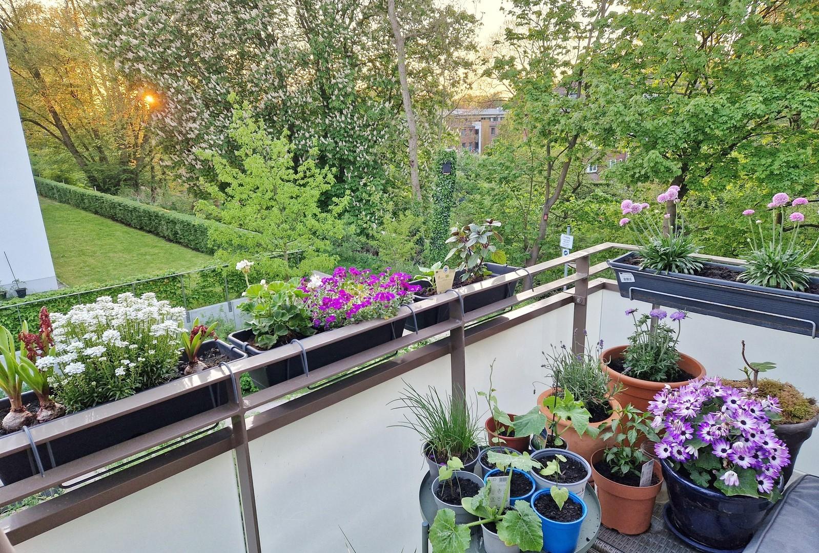 Loggia Blick ins Grüne