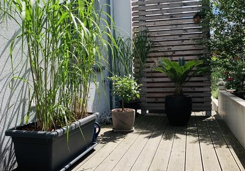 Terrasse hinten, Bild 1