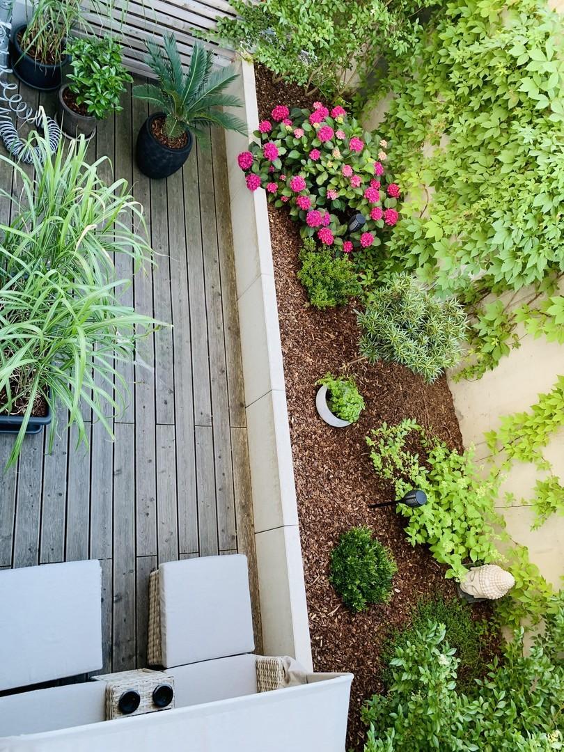 Terrasse hinten, Bild 2