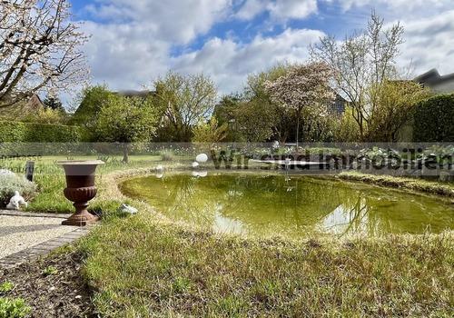 Gartenteich 1