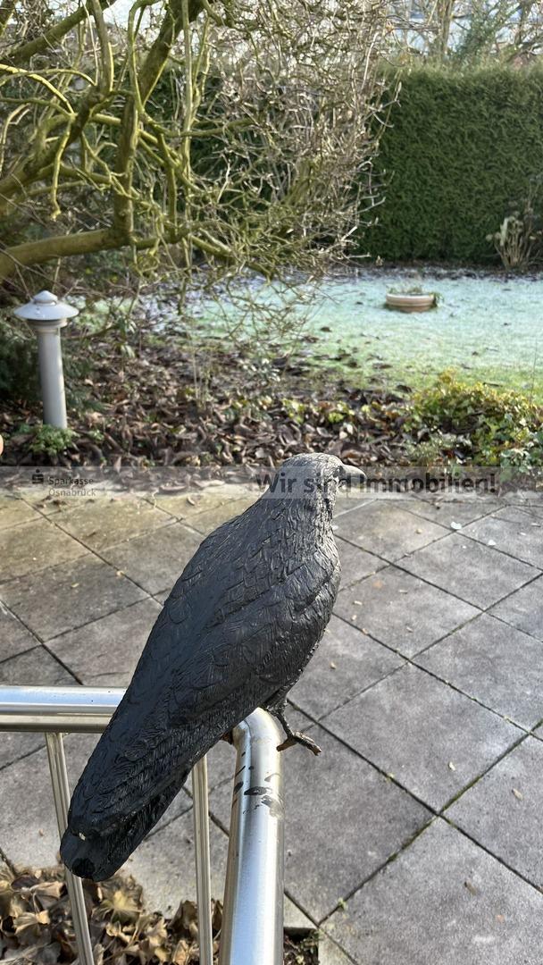 Gartenblick