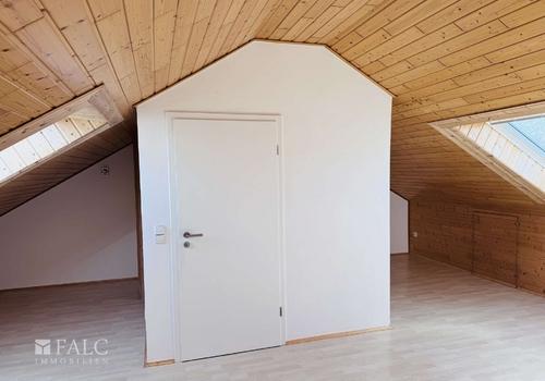 DG Studio